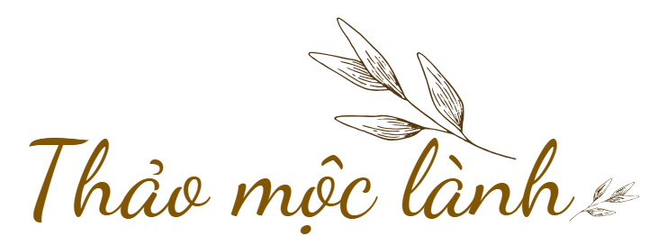 thaomoclanh, thảo mộc lành, thảo mộc, thaomoc, nuôi dưỡng